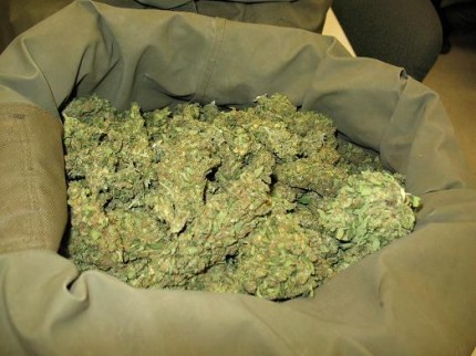 Bag Weed
